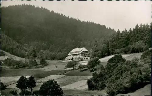 Schönau im Schwarzwald Gasthof und Pension Haldenhof OT Neuenweg 1958