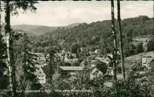 Ansichtskarte Bad Liebenstein Blick vom Panoramaweg 1959