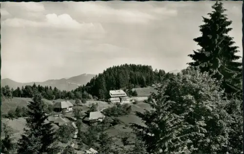 Ansichtskarte Schopfheim GASTHAUS-PENSION HALDENHOF Neuenweg 1963