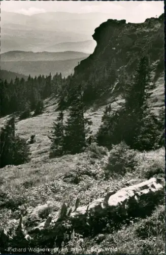 Arber (Bayr. Wald) Richard Wagnerkopf am. Arber Bayerischer Wald 1959