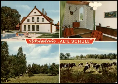 Bohndorf Gästehaus Alte Schule Bohndorf über Bavendorf (Mehrbild-AK) 1970