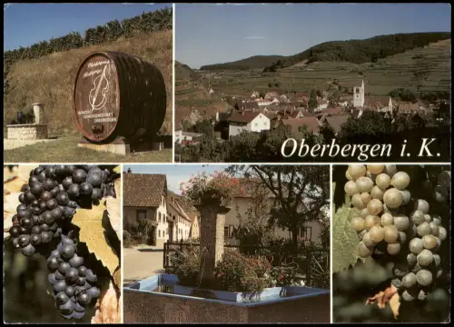 Oberbergen-Vogtsburg Mehrbild-AK Weinlehrpfad Gesamtansicht Dorfbrunnen 1990