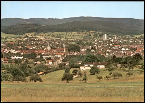 Vielbrunn-Michelstadt Panorama-Ansicht MICHELSTADT im Odenwald 1980