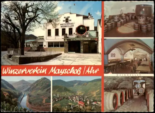Ansichtskarte Mayschoß Mehrbildkarte Mayschosser Weinkeller 1971