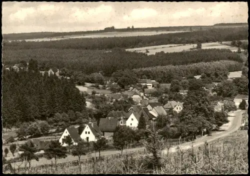 Neuhaus im Solling-Holzminden Panoramablick auf Neuhaus im Solling 1956