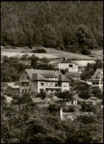 Ansichtskarte Bodenwerder-Bodenwerder-Polle Gästehaus Haus am Hang 1962