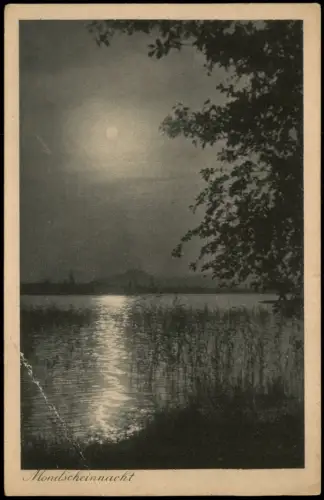 Radolfzell am Bodensee Am Bodensee Mondscheinnacht Stimmungsbild 1925