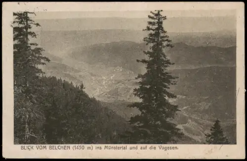 Schönau im Schwarzwald BLICK VOM BELCHEN ins Münstertal und auf die Vogesen 1921