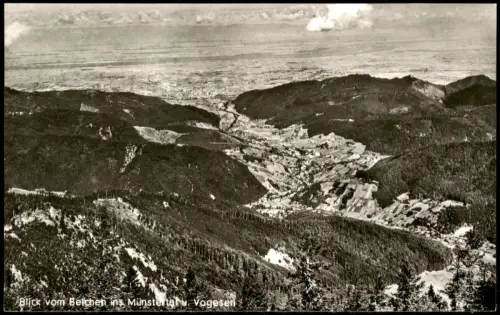 Schönau im Schwarzwald Blick vom Belchen ins Münstertal u. Vogesen 1965