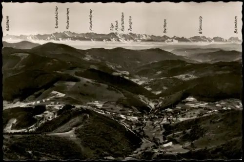 Schönau im Schwarzwald Panorama  kleine Wiesentalund auf die Alpen   1955