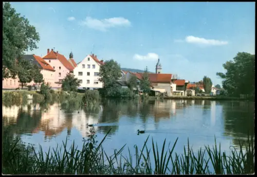 Ansichtskarte Auerbach in der Oberpfalz Ortsansicht mit Weiher 1975