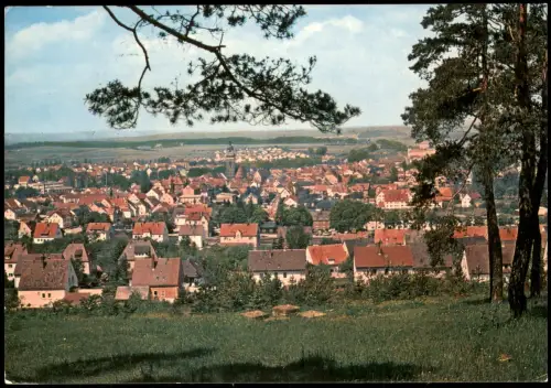 Ansichtskarte Auerbach in der Oberpfalz Panorama-Ansicht 1975