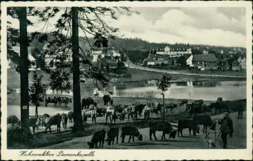 Ansichtskarte Hahnenklee-Bockswiese-Goslar Damenkapelle Hirte Tiere 1937