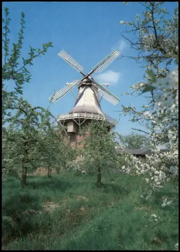 Ansichtskarte Borstel-Jork Windmühle mit Streuobstwiese 1990