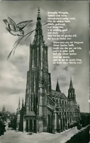 Ansichtskarte Ulm a. d. Donau Ulmer Münster Spatz Text - Fotokunst 1957