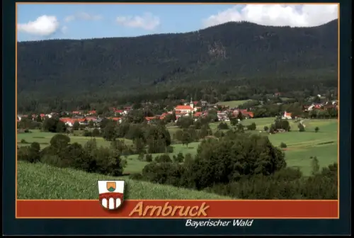 Ansichtskarte Arnbruck Panorama Totalansicht 1990