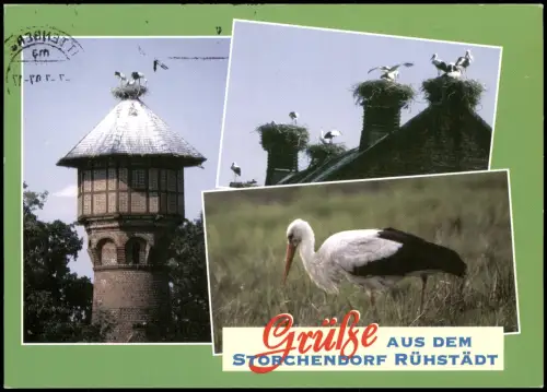 Rühstädt-Bad Wilsnack an der Elbe das storchreichste Dorf Deutschlands 1997