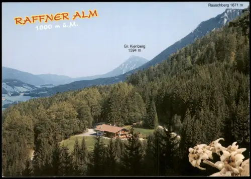 Ansichtskarte Ruhpolding RAFFNER ALM - Rauschberg 1671 m - Hüttenabende 1990