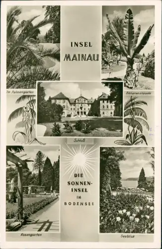 Insel Mainau-Konstanz MehrbildKarte Palmen Stauden - Fotokunst 1951