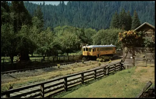 Ansichtskarte  Eisenbahn Zug Lokomotive THE SKUNK Railroad 1978