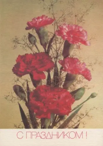 Blumen in rot