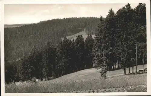 Grossbreitenbach Thueringen Waldpartie Hirtenwiese / Grossbreitenbach /Ilm-Kreis LKR